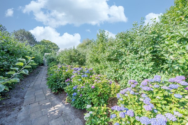 Medium property photo - Sint Maartenstraat 10, 4735 TD Zegge
